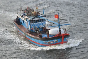 Sống chết bám biển Hoàng Sa