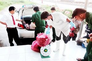 Thú y bóc mẽ những lô thịt bẩn