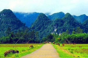Cảnh sắc Quảng Bình chờ đón Hollywood