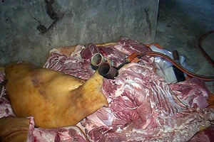 Làm giả thịt heo rừng từ... heo nái