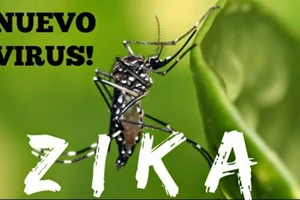 Nguy cơ vi​rus Zika vào Việt Nam
