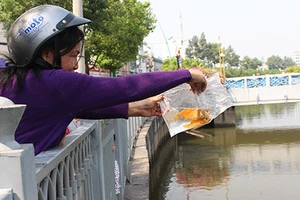 Nhiều người dân đến kênh Nhiêu Lộc thả cá tiễn ông Táo