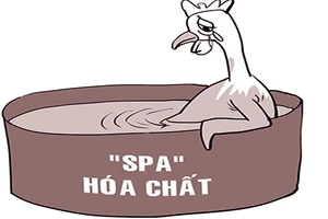 Làm vàng gà bằng thuốc nhuộm vải