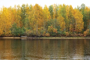 Mùa thu trên dòng Volga