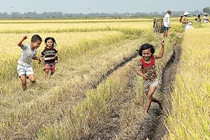 Ăn tết ngoài đồng