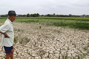 Ráo riết trữ nước ngọt chống hạn, mặn