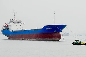 Tàu gặp bão bị nạn, có được bảo hiểm?