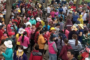 Đình công do nhập nhằng lương, thưởng... 