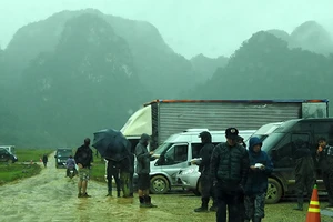 Chuyện Hollywood và cọng rác...