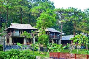 Phép nước ở đâu trong vụ xây cất ở Ba Vì?