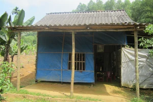 TP.HCM lập lại danh sách hộ nghèo