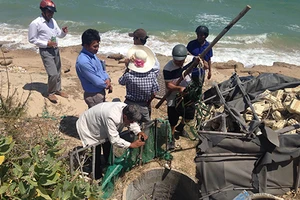 Hành trình đi tìm ‘kho báu’ chôn dưới ba giếng nước 