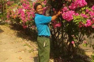 Ký sự rừng sâu - Bài 2: Chàng Ê Đê từng bị voi rừng tấn công