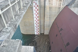 Khô hạn ‘đốt’ hàng ngàn tỉ đồng của dân Tây Nguyên