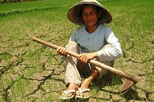 Không kỳ vọng Trung Quốc cứu hạn miền Tây