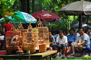 Chào mào, cò, vạc thiếu ‘khai sinh’: Phạt hay không?