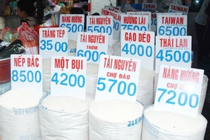 Đừng sốc vì gạo có thạch tín