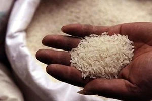 Trung Quốc đẩy mạnh mua gạo Việt