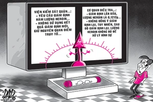 Án ma túy, nhập nhằng tội - không tội