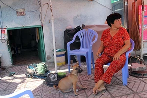 Bà lão sống dưới gầm cầu thang