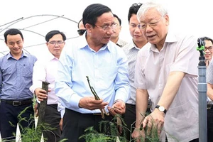 Tổng Bí thư Nguyễn Phú Trọng: Ngày càng có nhiều miền quê đáng sống