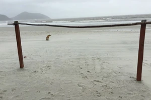 Bãi biển đẹp… để dành