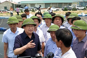 ‘Ai đầu độc cá cũng phải bị xử lý’!