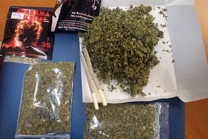 Mơ hồ với cỏ Mỹ