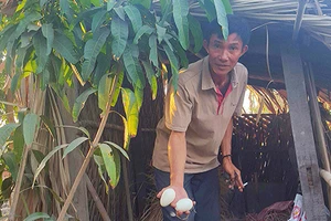 Bình Chánh: Khởi tố ‘chòi vịt’ là sai luật 