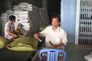 Muốn xuất khẩu gạo phải lập công ty tại… Singapore