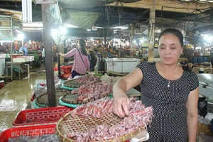 Vụ cá chết hàng loạt: Những nhận định trong thời gian qua