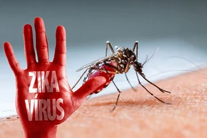 Cảnh báo đề phòng dịch Zika quay trở lại