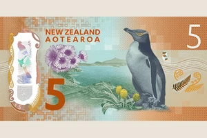 Tiền giấy đi thi hoa hậu 