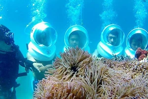 ‘Đi bộ dưới đáy biển’ giữa tâm bão cá chết