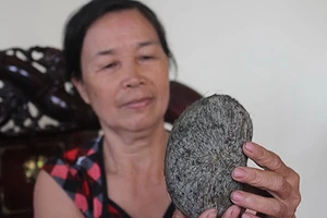 Thực hư vật lạ giá bạc tỉ trong bao tử heo