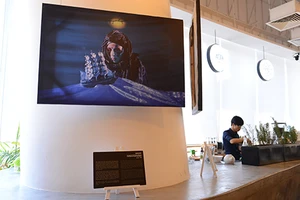 Những ngày văn học châu Âu tại TP.HCM