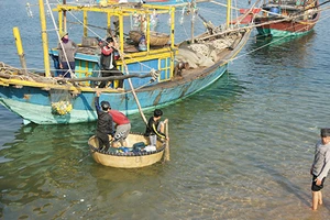 Bắt đầu tổng kiểm tra việc xả thải của Formosa