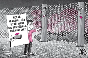 Kiện hàng xóm vì… không cho tưới cây