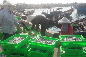 Hai đoàn chuyên gia cùng kiểm tra Formosa