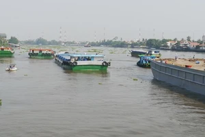 Kêu gọi đầu tư 124 tỉ đồng mở tuyến buýt trên sông