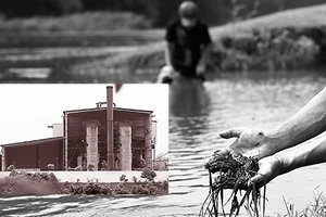 Xén một đồng môi trường, trả giá cả ngàn tỉ