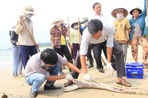 Mượn vỏ vì cộng đồng, thực hiện mưu đồ riêng 