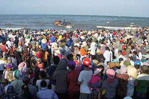 Ngư dân khóc khi an táng cá voi