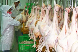 Cấp gần 100 giấy chứng nhận chuỗi thực phẩm an toàn