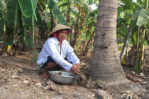 Làm oan, phải chủ động xin lỗi, bồi thường?