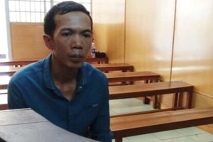 Xài bằng giả gây tai nạn, bị hai tội?