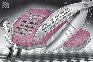 Thua kiện vì chỉ dựa vào công văn, báo cáo 