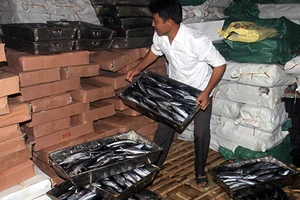 Vụ cá nục có phenol: Sẽ phải kiểm nghiệm lại