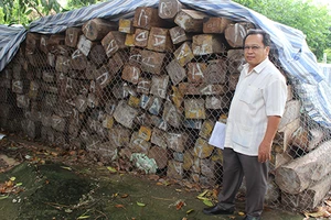 Kết luận không buôn lậu vẫn ‘giam’ hàng