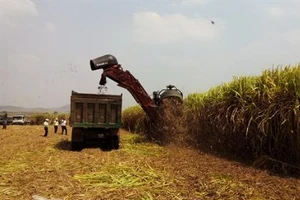 Hoàng Anh Gia Lai được miễn thuế nhập khẩu đường từ Lào